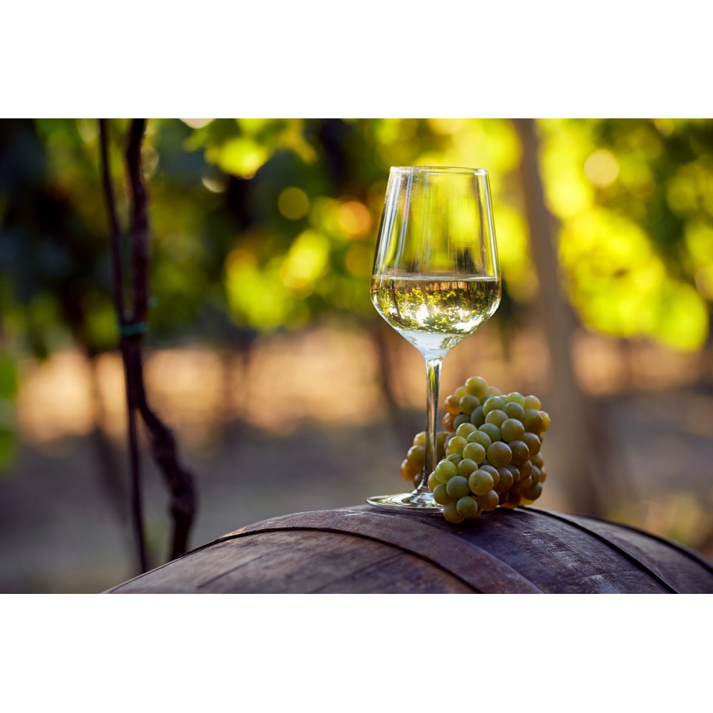 Lievito biotecnologico naturale per vini bianchi