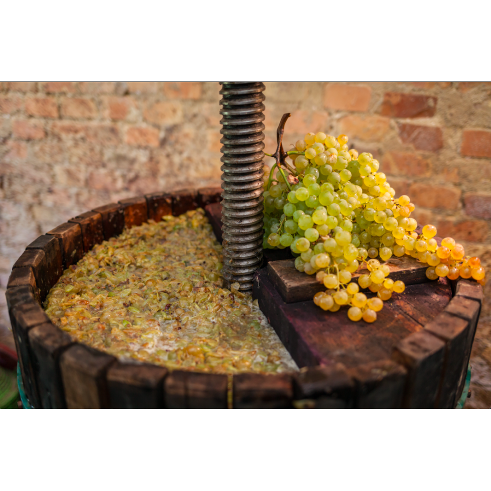 Attivante di fermentazione 100% naturale